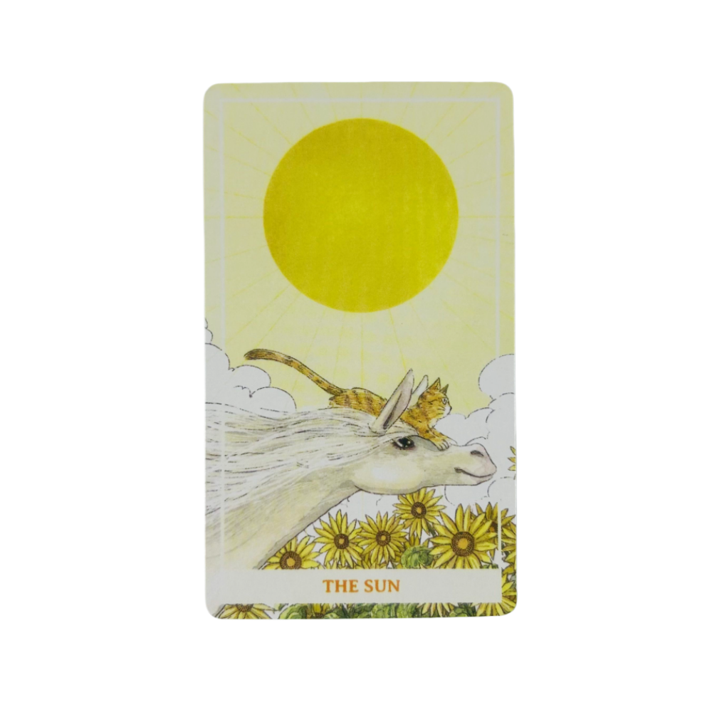 Sunny Orange Cat Tarot Deck A  - Party Games Sunny 评论和价格
